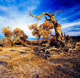 《浪人崛起》在日本发售18禁版本