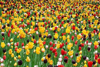 《夜族崛起》销量突破500万 年内将发布重大更新